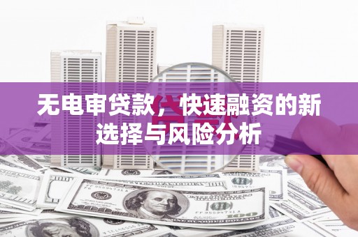 高树无电审贷款，快速融资的新选择与风险分析