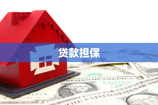 高树贷款担保