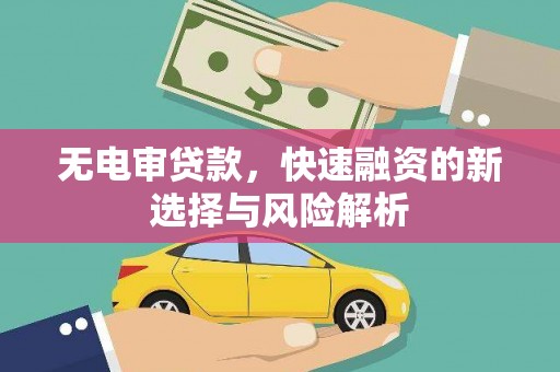 高树无电审贷款，快速融资的新选择与风险解析