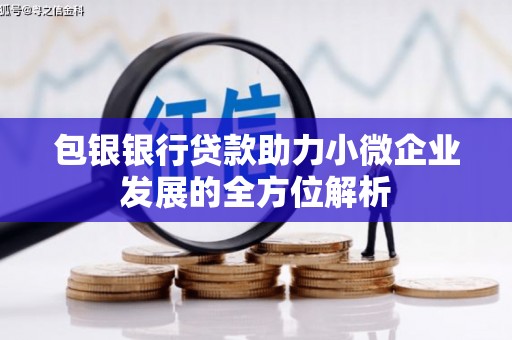 高树包银银行贷款助力小微企业发展的全方位解析