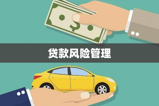 高树贷款风险管理
