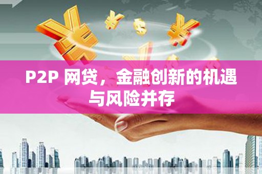 高树P2P 网贷，金融创新的机遇与风险并存