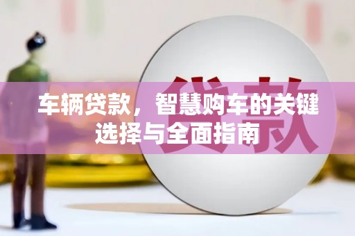 高树车辆贷款，智慧购车的关键选择与全面指南