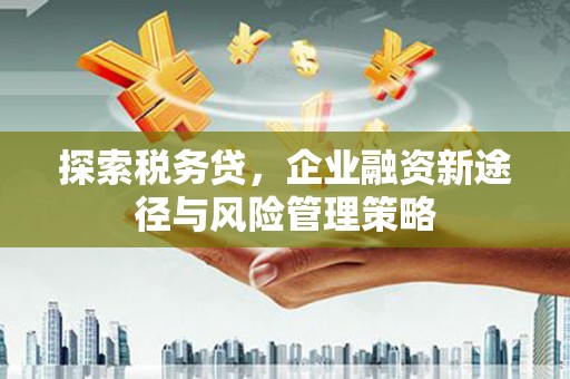 高树探索税务贷，企业融资新途径与风险管理策略
