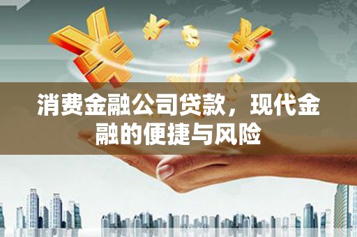 高树消费金融公司贷款，现代金融的便捷与风险
