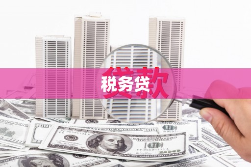 高树税务贷