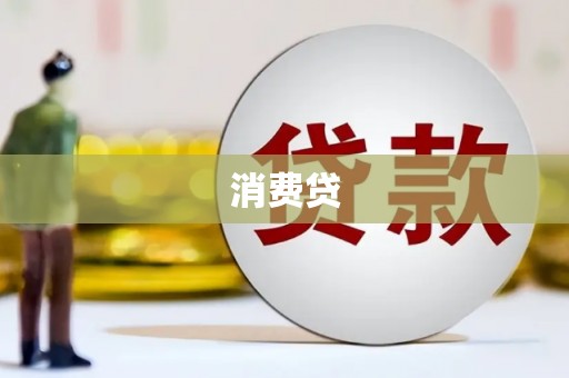 高树消费贷