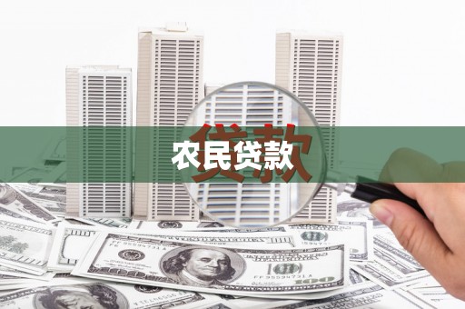 高树农民贷款