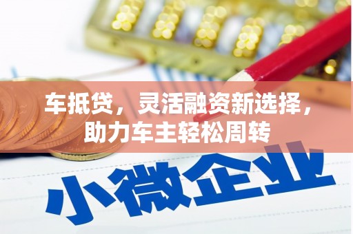 高树车抵贷，灵活融资新选择，助力车主轻松周转