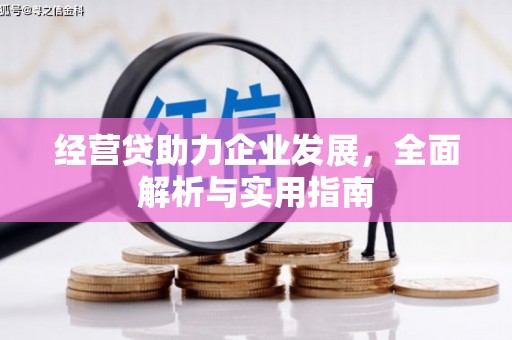 高树经营贷助力企业发展，全面解析与实用指南