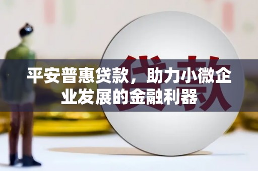 高树平安普惠贷款，助力小微企业发展的金融利器