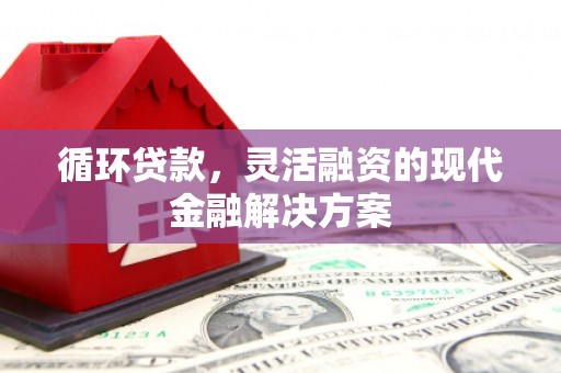 高树循环贷款，灵活融资的现代金融解决方案