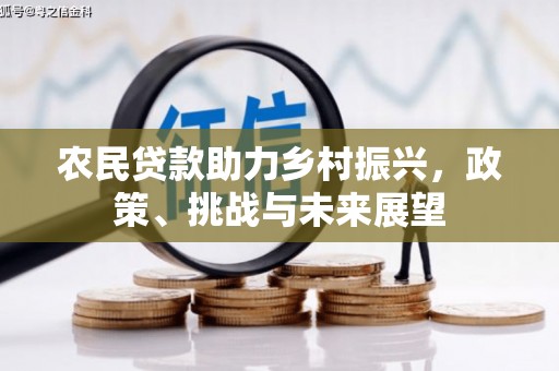 高树农民贷款助力乡村振兴，政策、挑战与未来展望
