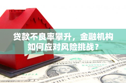 高树贷款不良率攀升，金融机构如何应对风险挑战？
