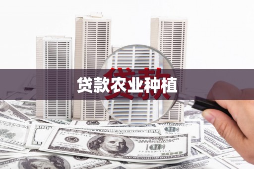 高树贷款农业种植