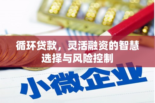 高树循环贷款，灵活融资的智慧选择与风险控制