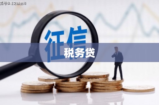 高树税务贷