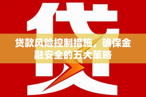 高树贷款风险控制措施，确保金融安全的五大策略