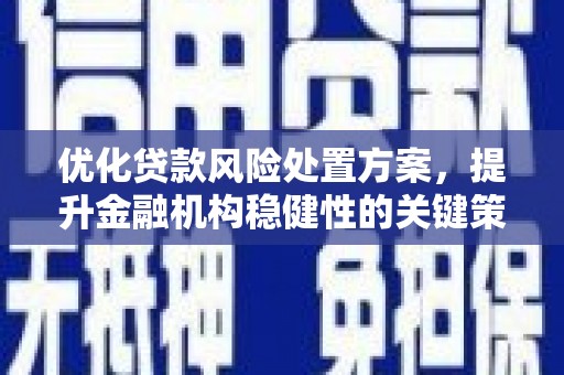 高树优化贷款风险处置方案，提升金融机构稳健性的关键策略