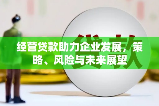 高树经营贷款助力企业发展，策略、风险与未来展望