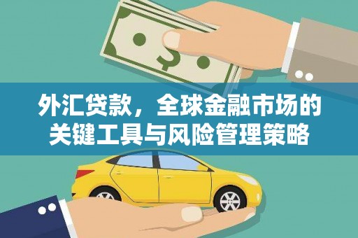 高树外汇贷款，全球金融市场的关键工具与风险管理策略