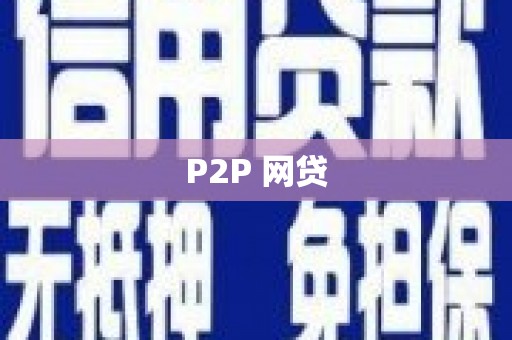 高树P2P 网贷