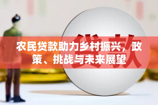 高树农民贷款助力乡村振兴，政策、挑战与未来展望
