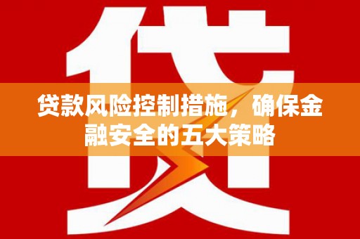 高树贷款风险控制措施，确保金融安全的五大策略