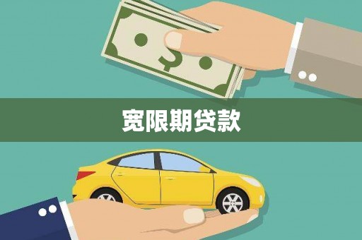 高树宽限期贷款