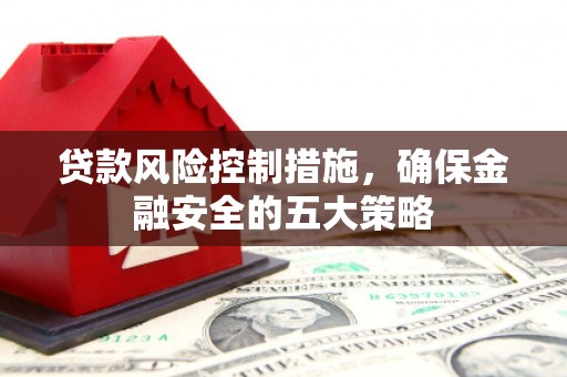 高树贷款风险控制措施，确保金融安全的五大策略