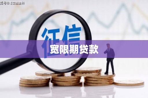 高树宽限期贷款