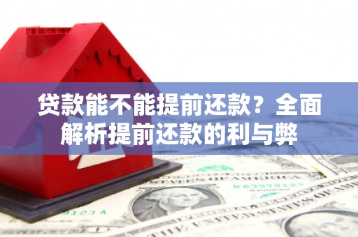 高树贷款能不能提前还款？全面解析提前还款的利与弊