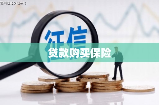 高树贷款购买保险
