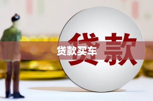 高树贷款买车