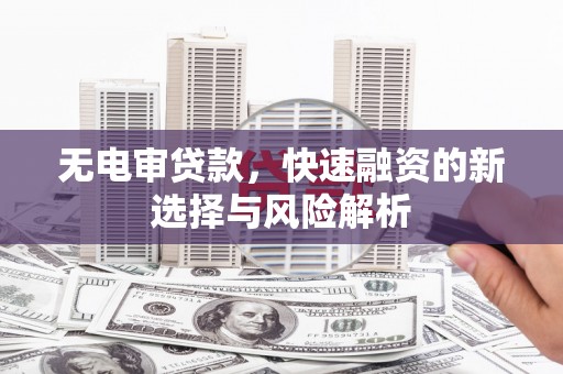 高树无电审贷款，快速融资的新选择与风险解析