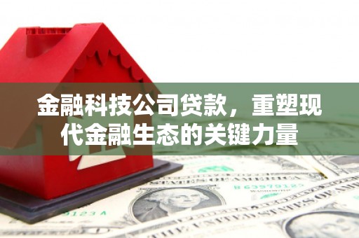 高树金融科技公司贷款，重塑现代金融生态的关键力量