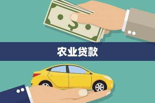 高树农业贷款