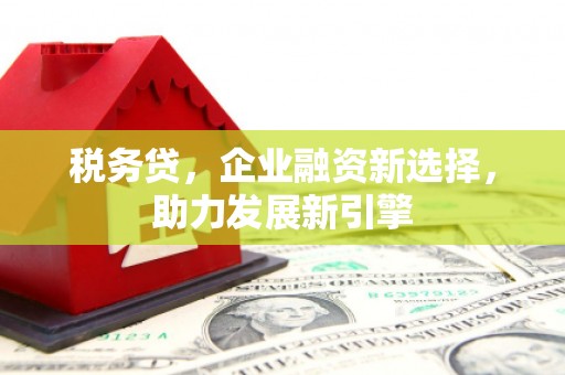 高树税务贷，企业融资新选择，助力发展新引擎