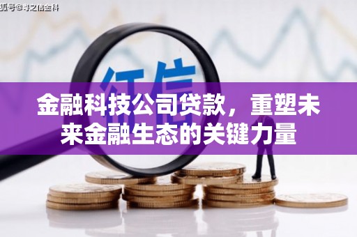 高树金融科技公司贷款，重塑未来金融生态的关键力量