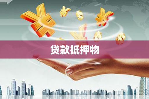 高树贷款抵押物