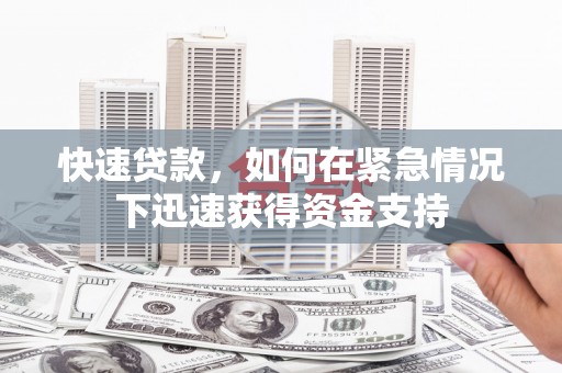 高树快速贷款，如何在紧急情况下迅速获得资金支持