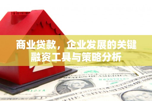 高树商业贷款，企业发展的关键融资工具与策略分析
