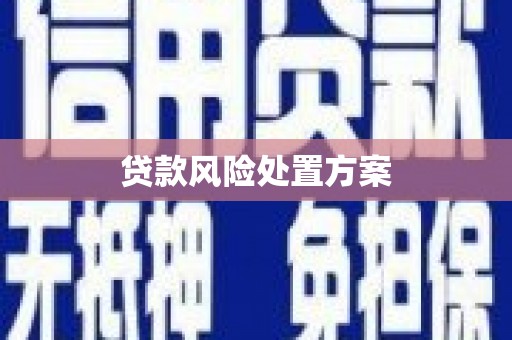 高树贷款风险处置方案