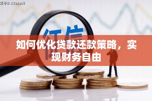 高树如何优化贷款还款策略，实现财务自由