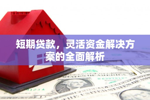 高树短期贷款，灵活资金解决方案的全面解析