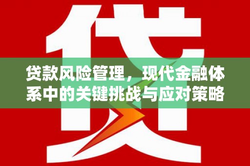 高树贷款风险管理，现代金融体系中的关键挑战与应对策略