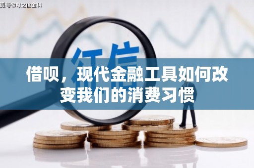 高树借呗，现代金融工具如何改变我们的消费习惯