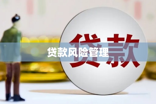 高树贷款风险管理