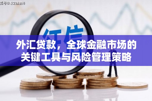 高树外汇贷款，全球金融市场的关键工具与风险管理策略