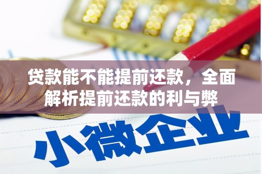 高树贷款能不能提前还款，全面解析提前还款的利与弊